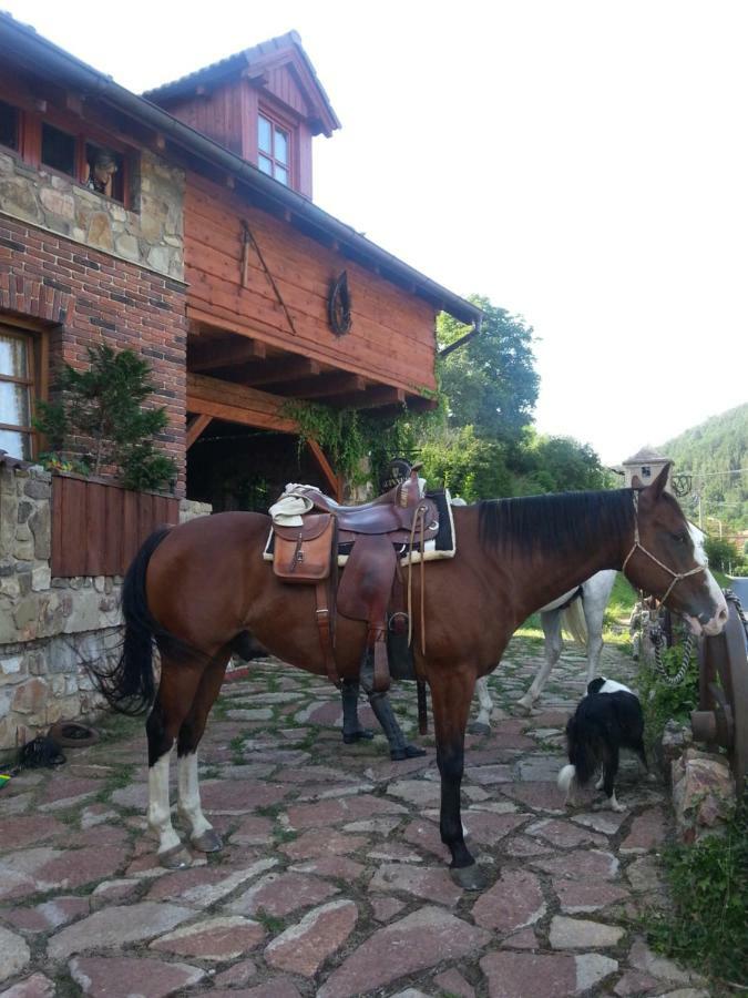 Ubytovani Steak-Hredle Exterior foto